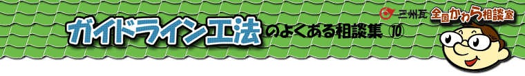 �K�C�h���C���H�@�̑��k�W