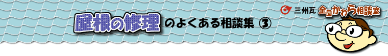 �����̏C���̑��k�W